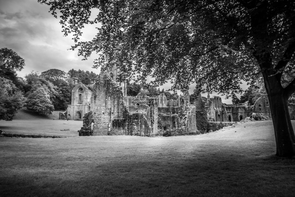 "Fountains Abbey" stock image