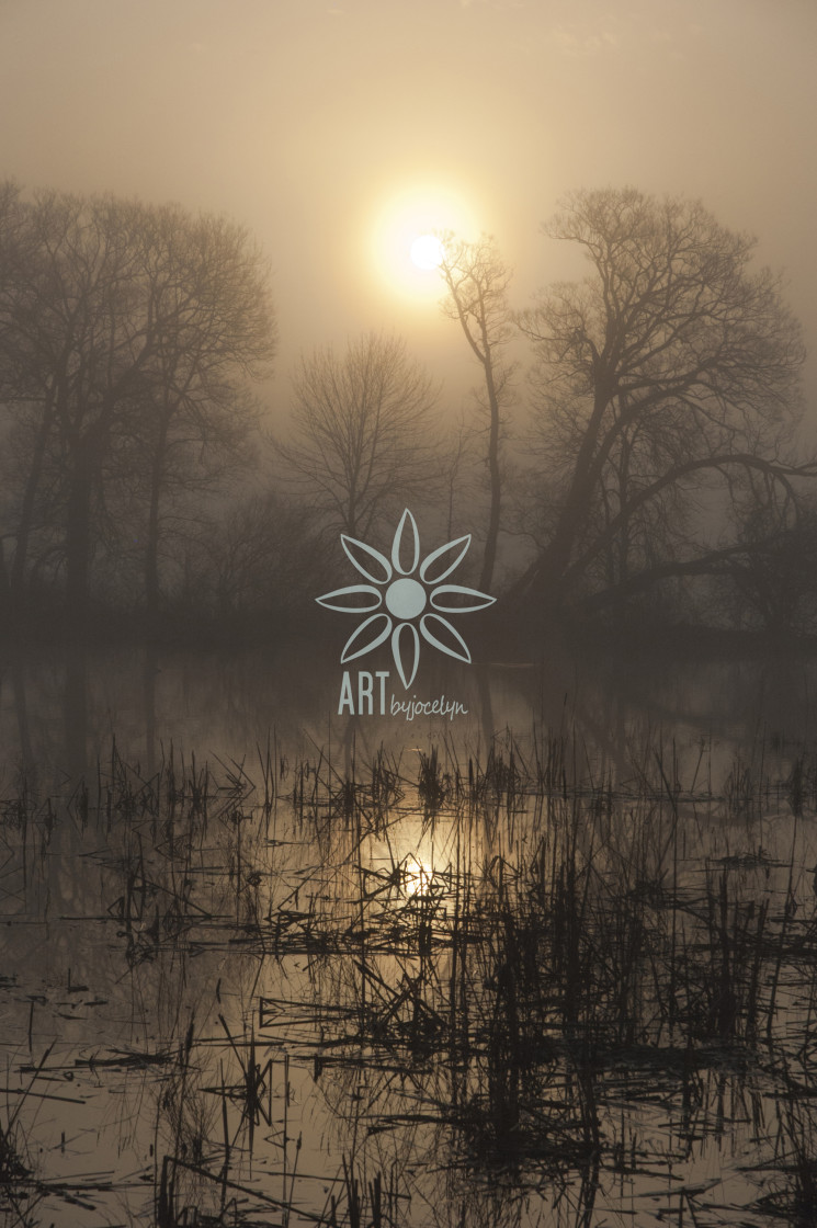 "Eerie Marsh Landscape Hazy Morning Sunrise" by Jocelyn Ball - $6.32 "Eerie Marsh Landscape Hazy Morning Sunrise" stock image