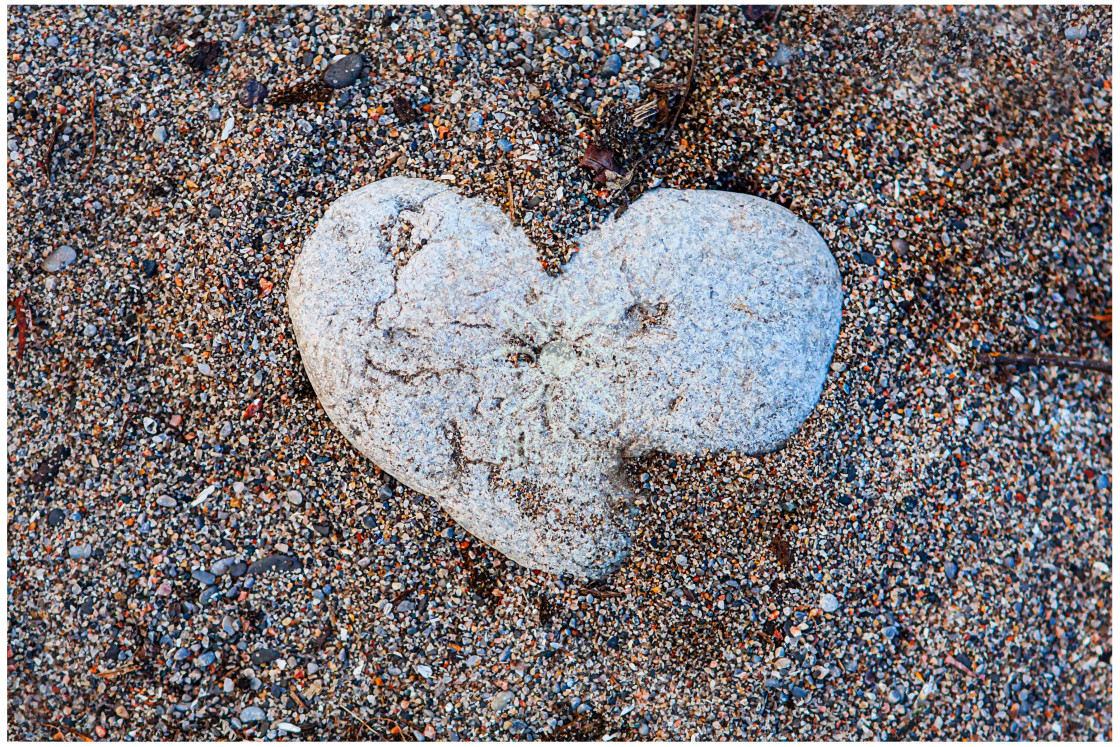 "Heart Stone on Beach" by Jocelyn Ball - $6.32 "Heart Stone on Beach" stock image