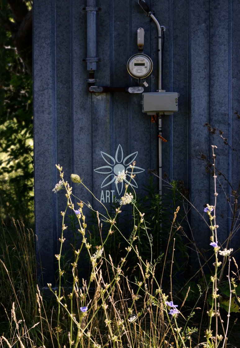 "Blue Industrial Aluminum Shed and Wildflowers" by Jocelyn Ball - $6.31 "Blue Industrial Aluminum Shed and Wildflowers" stock image