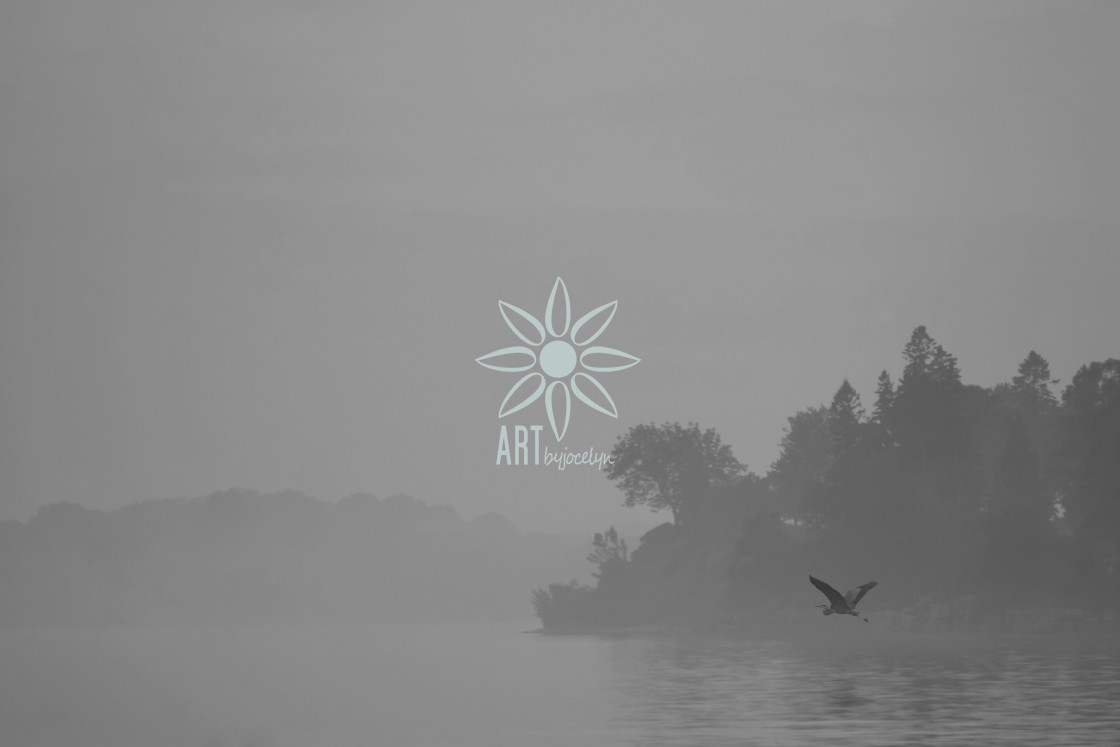 "Great Blue Heron Foggy Landscape Monochrome" by Jocelyn Ball - $6.31 "Great Blue Heron Foggy Landscape Monochrome" stock image