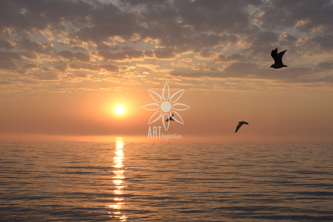 "Orange Beach Sunrise and Seagulls" by Jocelyn Ball - $6.31 "Orange Beach Sunrise and Seagulls" stock image