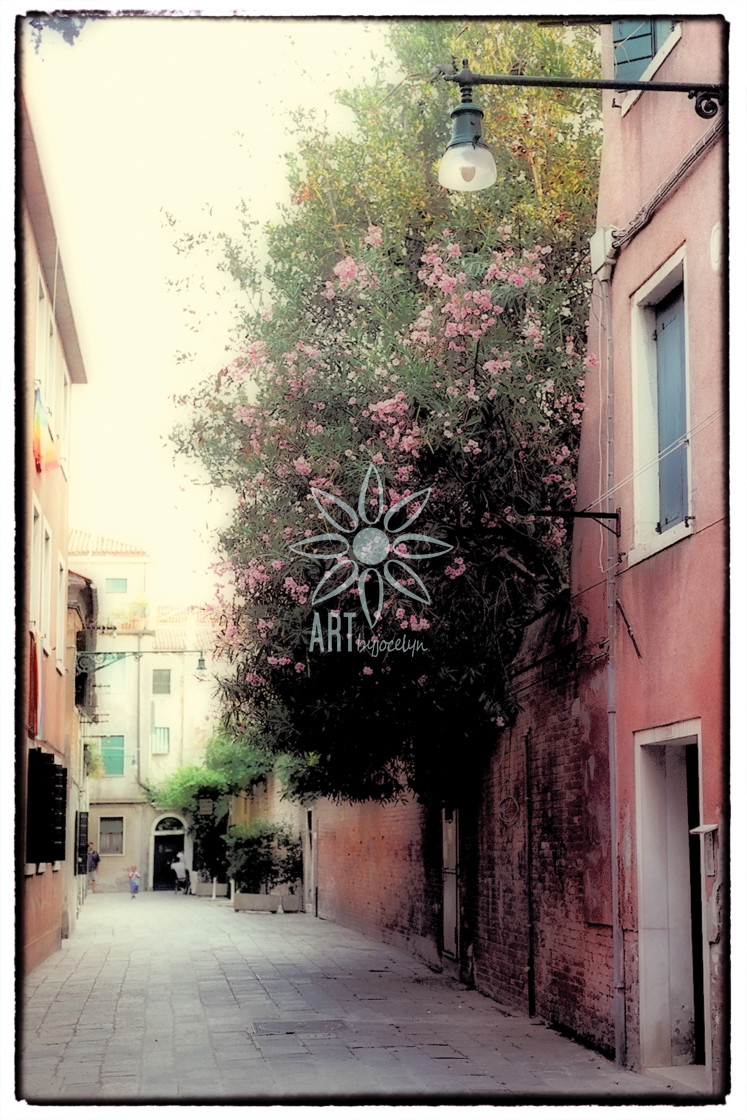 "Cascading Pink Flowers in Italy" by Jocelyn Ball - $6.31 "Cascading Pink Flowers in Italy" stock image