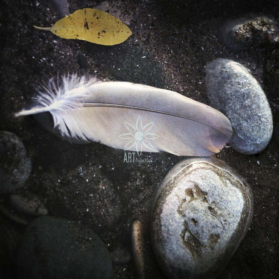 "Bird Feather on Black Sand and Beach Stones" by Jocelyn Ball - $6.32 "Bird Feather on Black Sand and Beach Stones" stock image