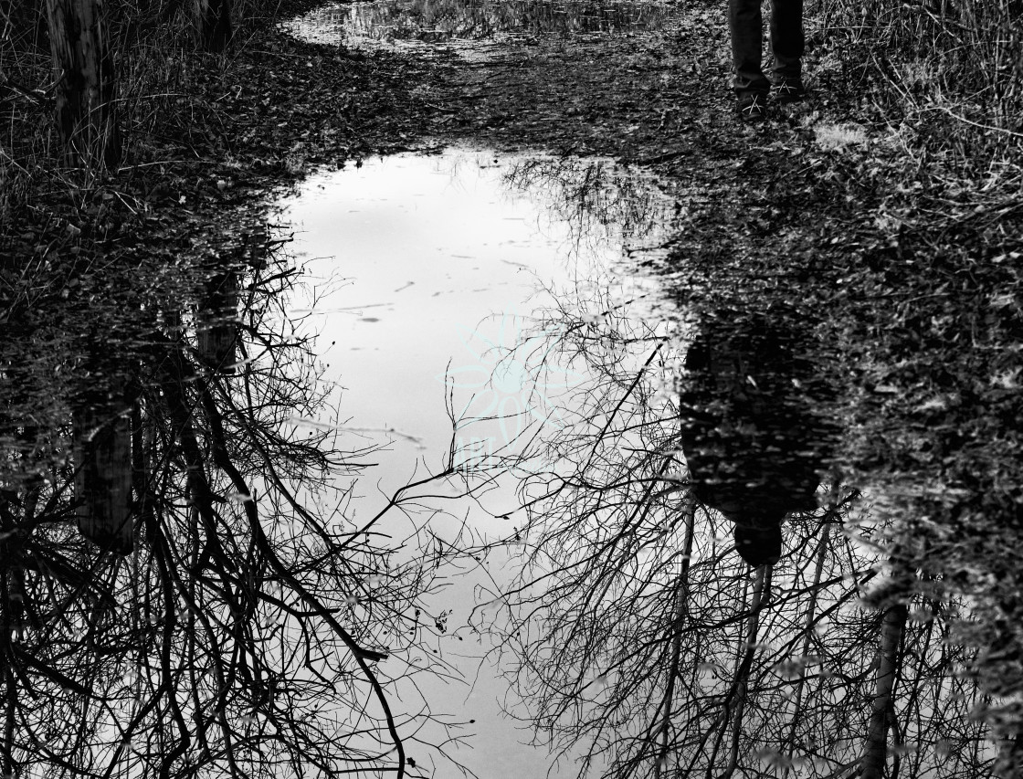 "Walking Alone Reflection in Puddle" by Jocelyn Ball - $6.32 "Walking Alone Reflection in Puddle" stock image