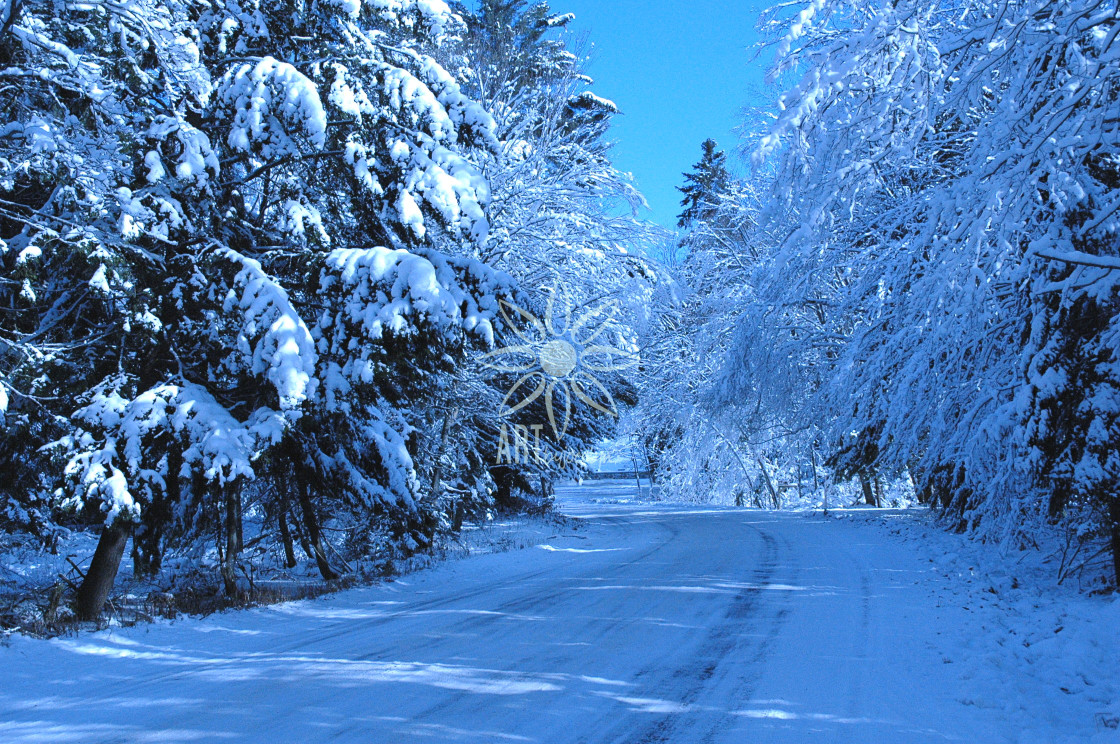"Blue Winter Country Road Landscape" by Jocelyn Ball - $6.31 "Blue Winter Country Road Landscape" stock image