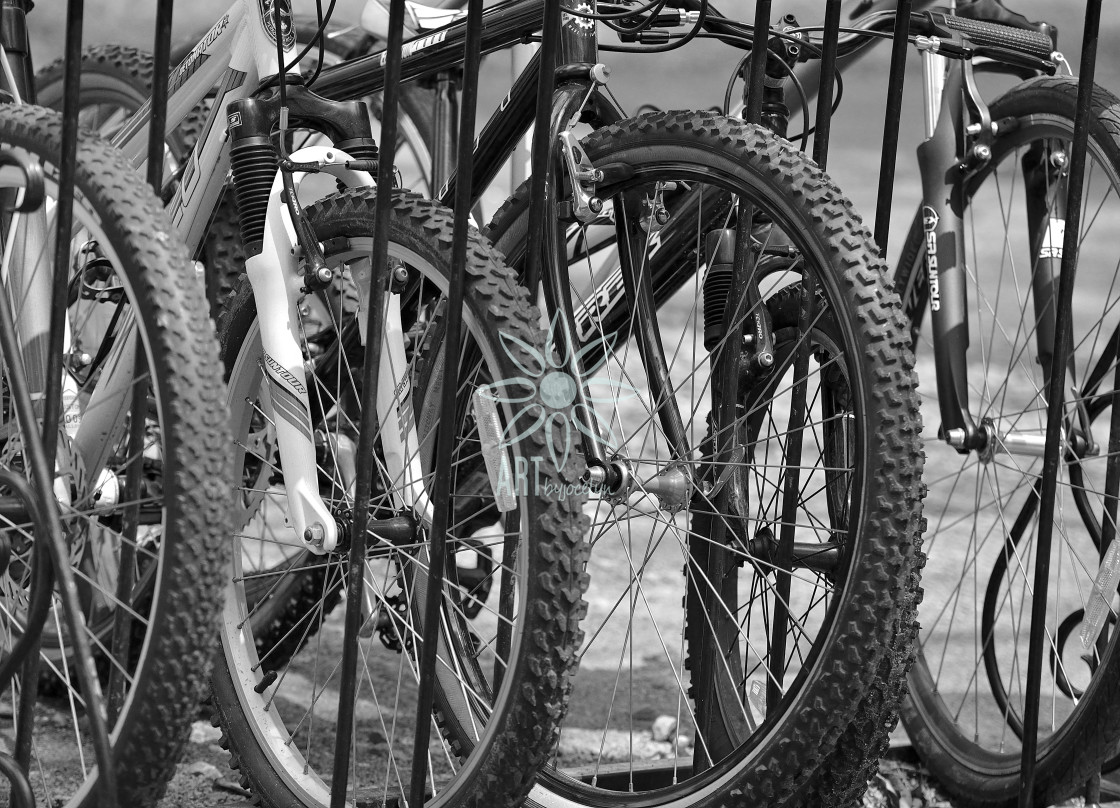 "Bicycle Tires Black and White" by Jocelyn Ball - $6.32 "Bicycle Tires Black and White" stock image