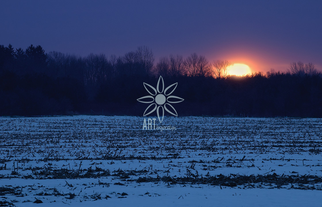 "Cold Winter Sunrise Farm Field Landscape" by Jocelyn Ball - $6.32 "Cold Winter Sunrise Farm Field Landscape" stock image
