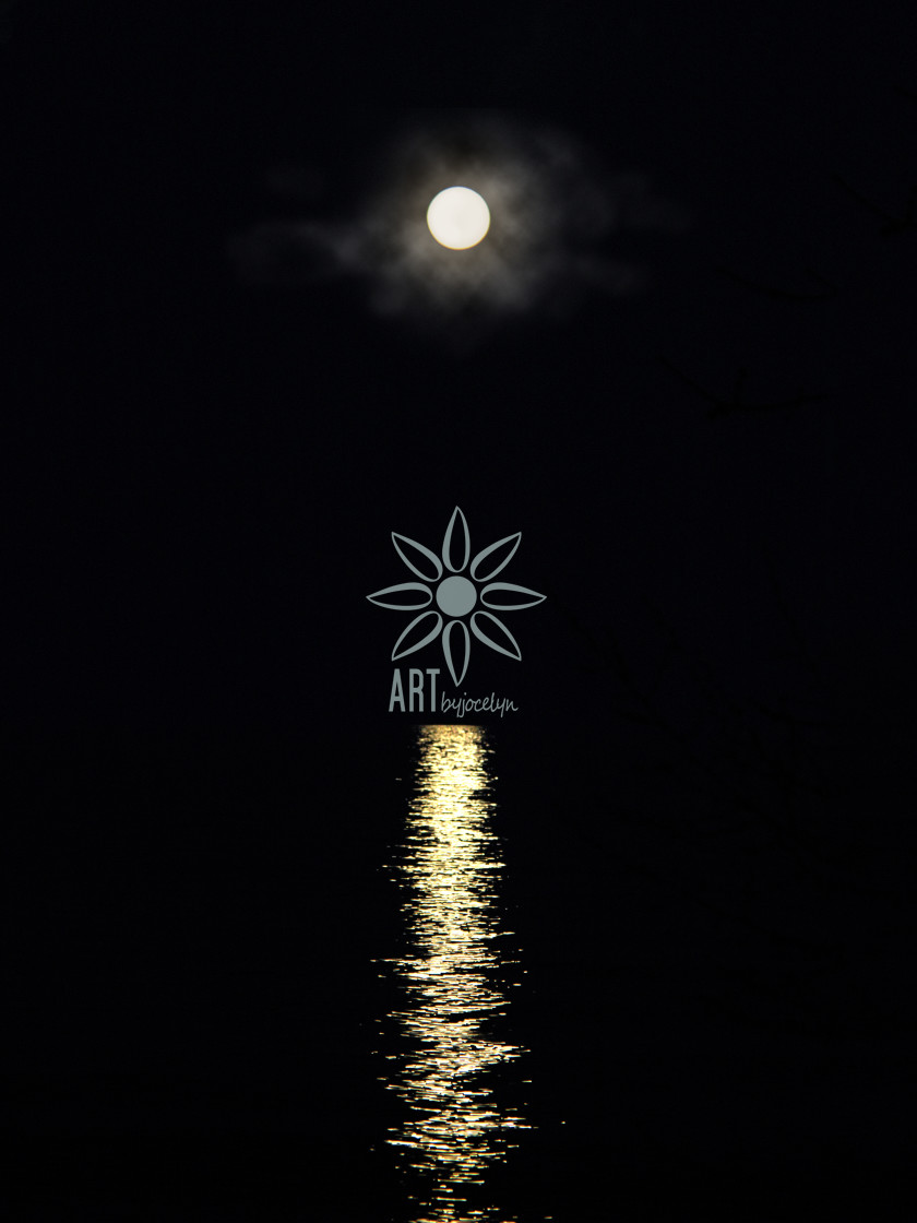 "Super Moon Over Lake Midnight Landscape" by Jocelyn Ball - $6.32 "Super Moon Over Lake Midnight Landscape" stock image