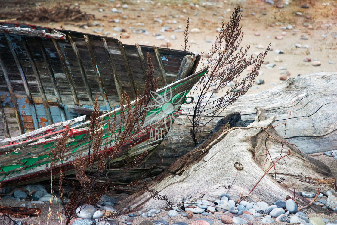 "Deteriorated Wood Boat on Beach" by Jocelyn Ball - $6.31 "Deteriorated Wood Boat on Beach" stock image