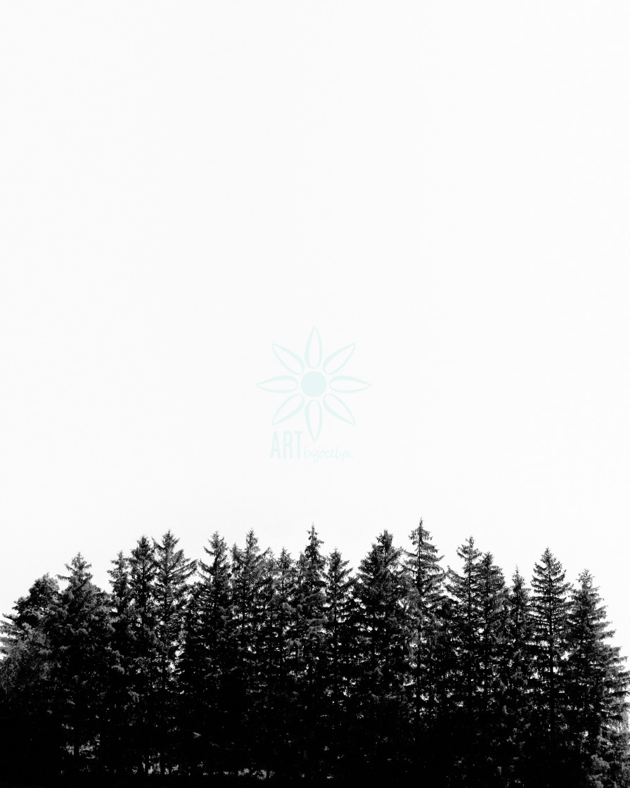 "Minimalist Pine Tree Horizon Black and White" by Jocelyn Ball - $6.32 "Minimalist Pine Tree Horizon Black and White" stock image