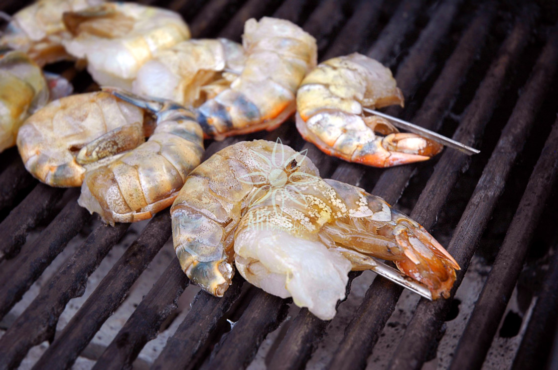 "Grilling Shrimp on the Barbeque" by Jocelyn Ball - $6.32 "Grilling Shrimp on the Barbeque" stock image