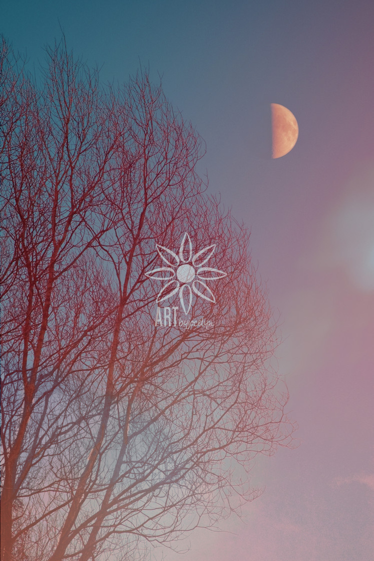 "Half Moon and Tree Pink Blue Vintage Look Landscape" by Jocelyn Ball - $6.31 "Half Moon and Tree Pink Blue Vintage Look Landscape" stock image