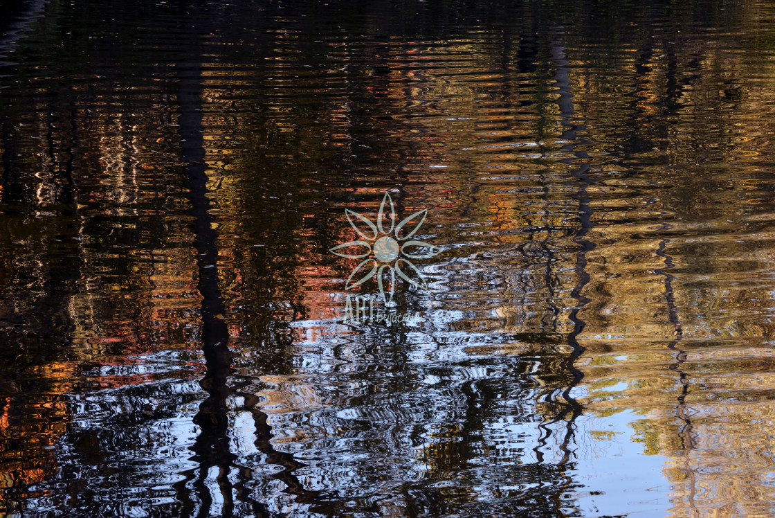 "Orange and Gold Fall Leaves Reflections in Rippled Water" by Jocelyn Ball - $6.32 "Orange and Gold Fall Leaves Reflections in Rippled Water" stock image