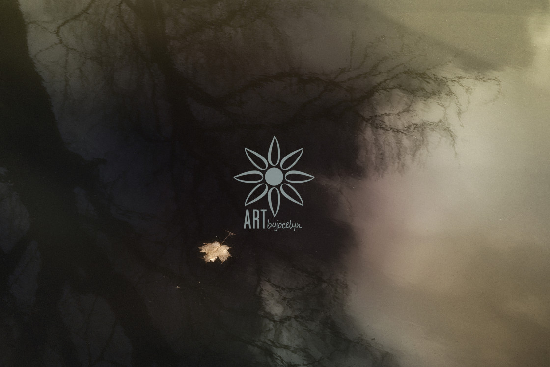 "Moody Landscape Maple Leaf Floating on Dark Waters" by Jocelyn Ball - $6.32 "Moody Landscape Maple Leaf Floating on Dark Waters" stock image