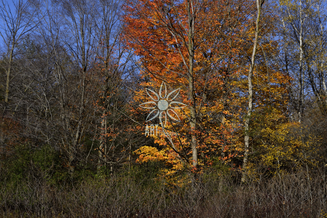 "Orange Fall Tree Leaves Blue Sky Landscape" by Jocelyn Ball - $6.32 "Orange Fall Tree Leaves Blue Sky Landscape" stock image