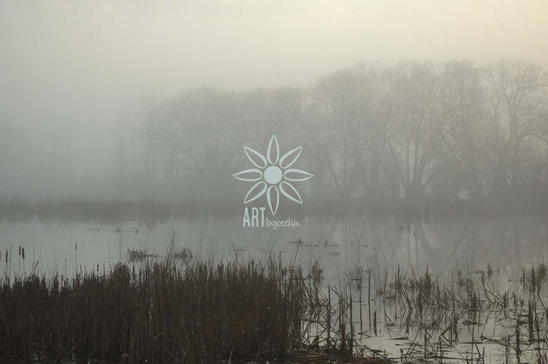 "Foggy Marsh and Tree Line Landscape" by Jocelyn Ball - $6.31 "Foggy Marsh and Tree Line Landscape" stock image
