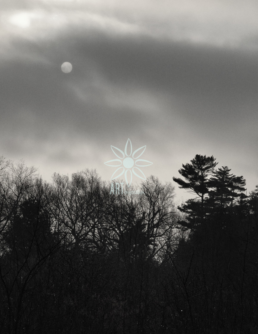 "Moody Monochrome Daytime Landscape Sun Clouds and Trees" by Jocelyn Ball - $6.31 "Moody Monochrome Daytime Landscape Sun Clouds and Trees" stock image