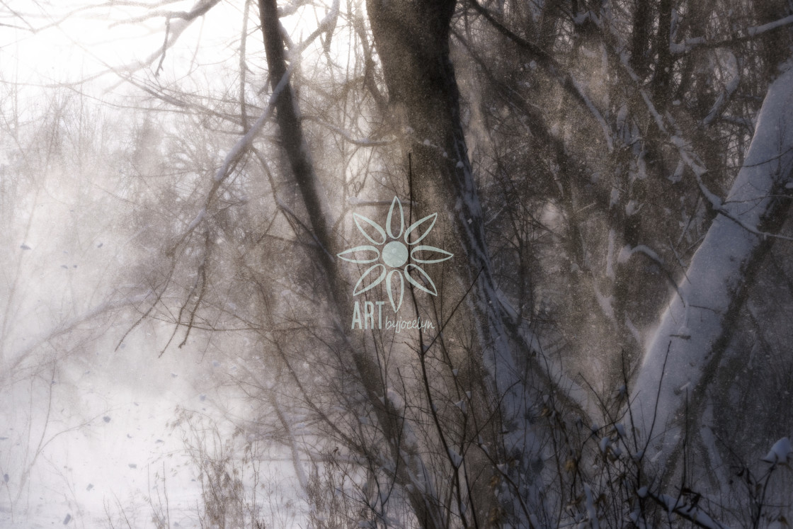"Blowing Snow in Glowing Light" by Jocelyn Ball - $6.31 "Blowing Snow in Glowing Light" stock image