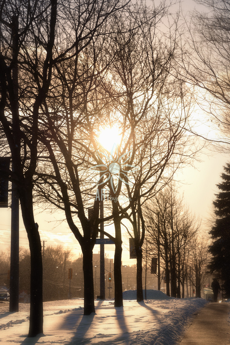 "Glowing Evening Sunlight Street Scene in Silhouette" by Jocelyn Ball - $6.32 "Glowing Evening Sunlight Street Scene in Silhouette" stock image