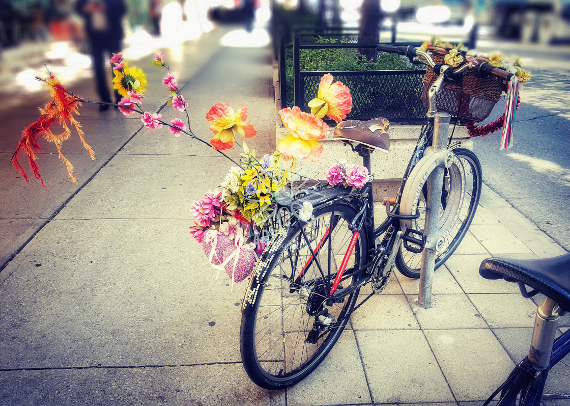"Old Bicycle and Fake Flowers Toronto Street Scene" by Jocelyn Ball - $6.32 "Old Bicycle and Fake Flowers Toronto Street Scene" stock image