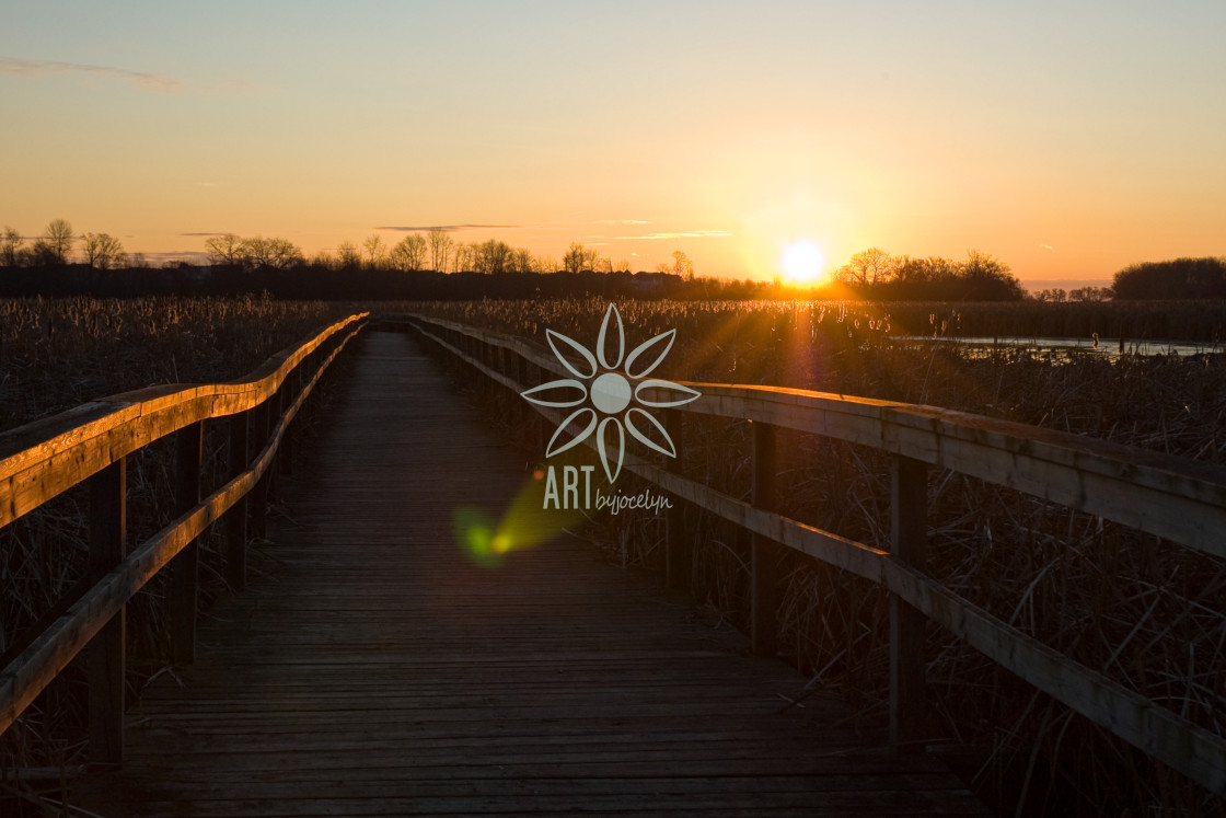 "Marsh Morning Sunrise and Lens Flare" stock image