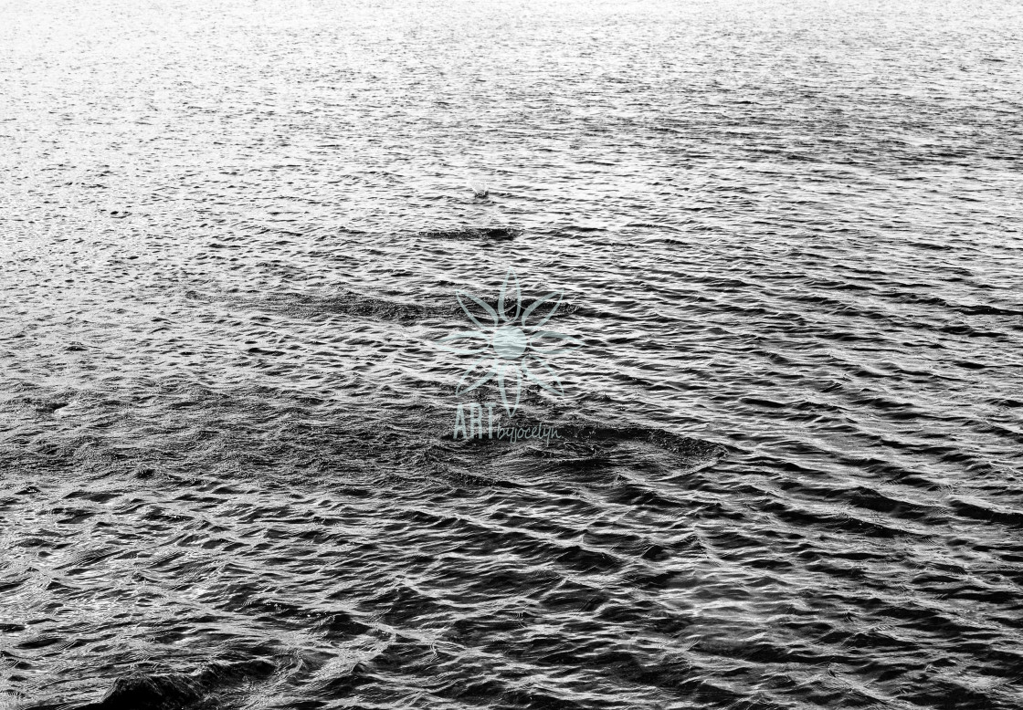 "Skipping Stone Circle Ripples on Lake Monochrome" stock image