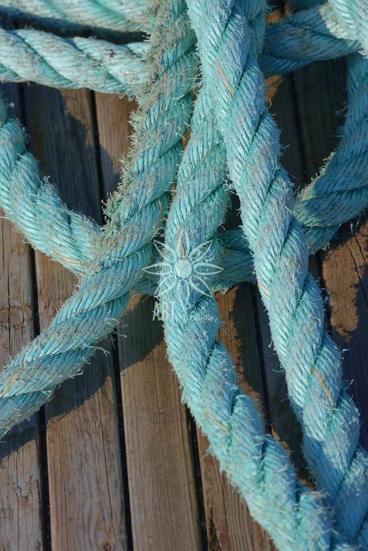 "Turquoise Ropes on Wood Boat Dock" stock image