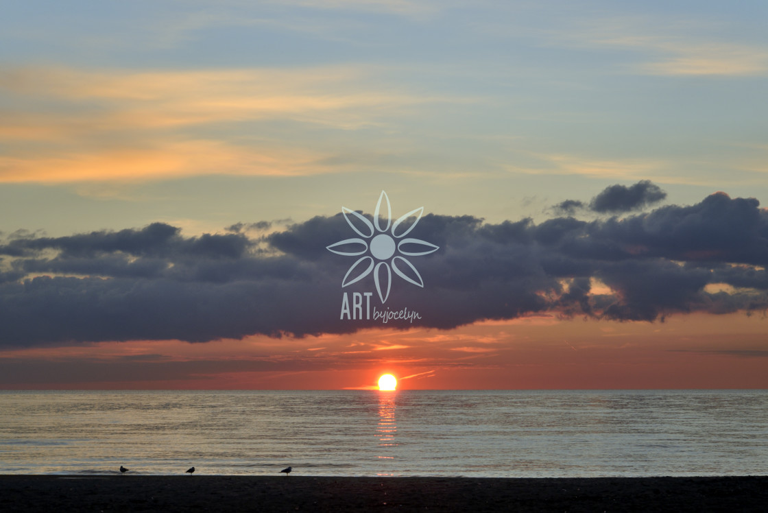 "Sunrise on Beach 3 Seagulls in Silhouette" by Jocelyn Ball - $6.31 "Sunrise on Beach 3 Seagulls in Silhouette" stock image