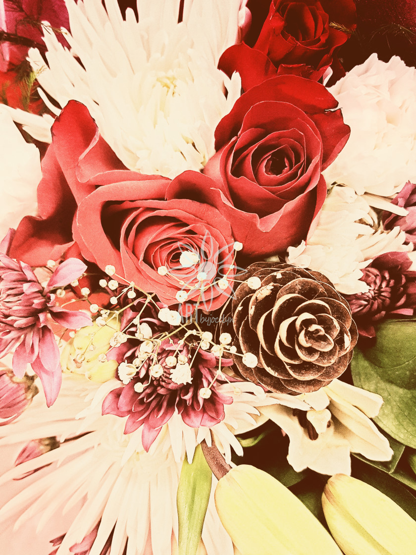 "Christmas Flower Bouquet with Roses Pine Cones Lilies" by Jocelyn Ball - $6.31 "Christmas Flower Bouquet with Roses Pine Cones Lilies" stock image