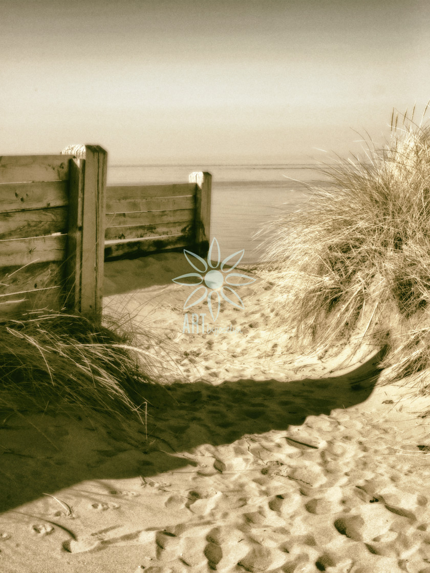 "Path to Sauble Beach in Muted Tones" stock image