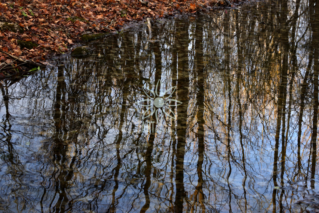 "Reflections in Water in Fall" stock image