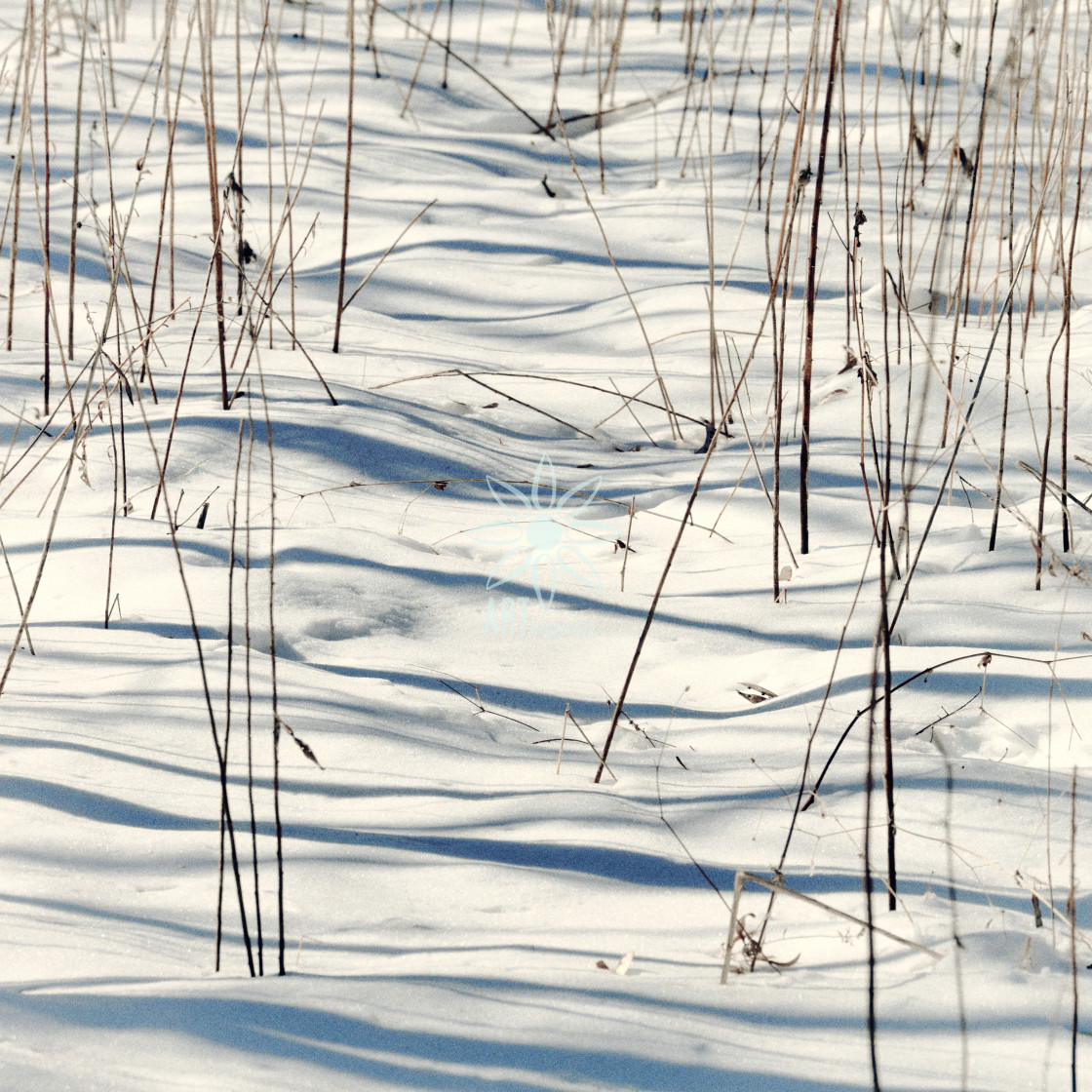 "Semi Abstract Blue Shadows on Snow" stock image