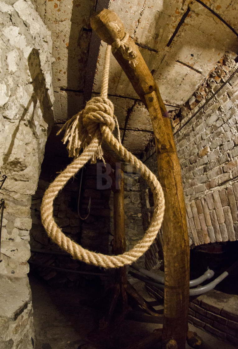 "Noose" by Brendan Howard - £10.00 "Noose" stock image