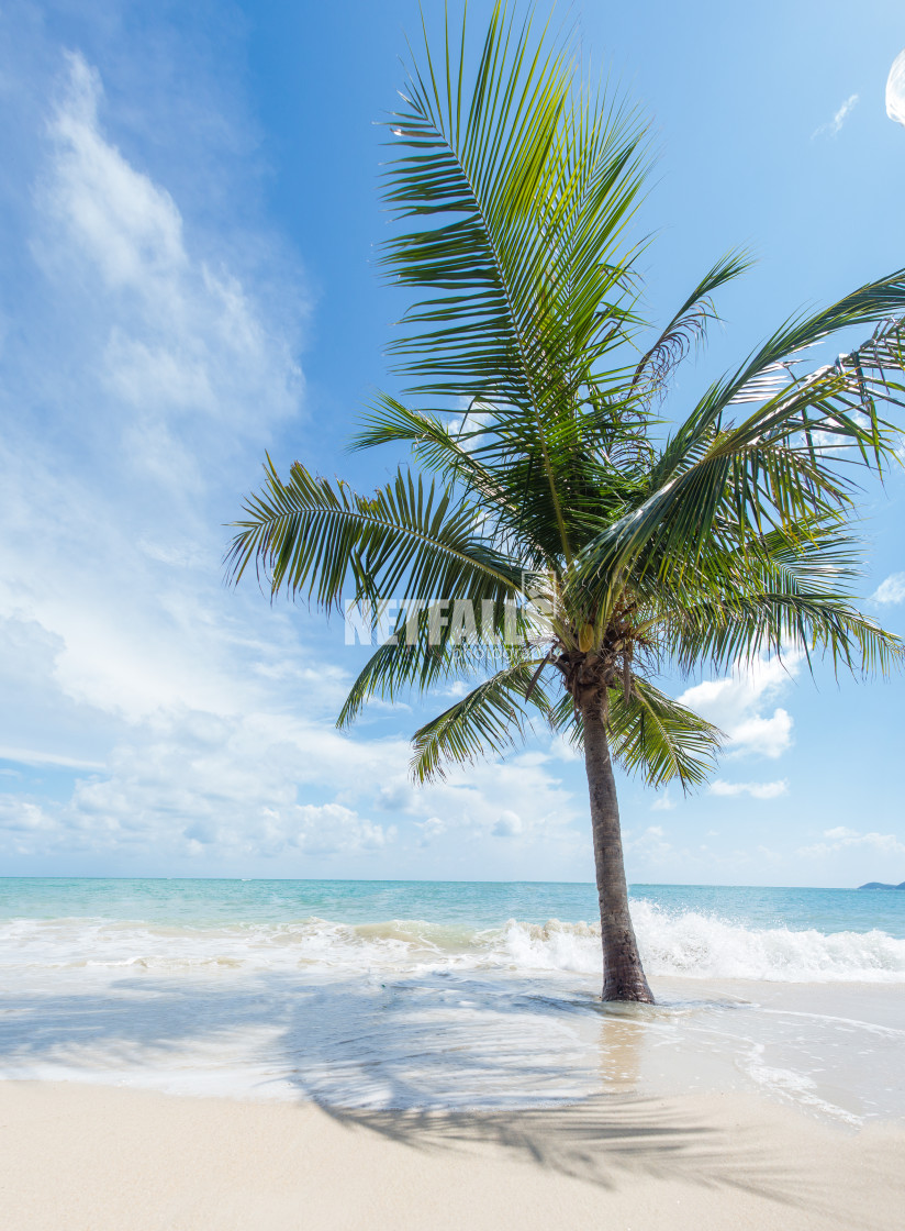 "Tropical beach of Koh Samui island" stock image