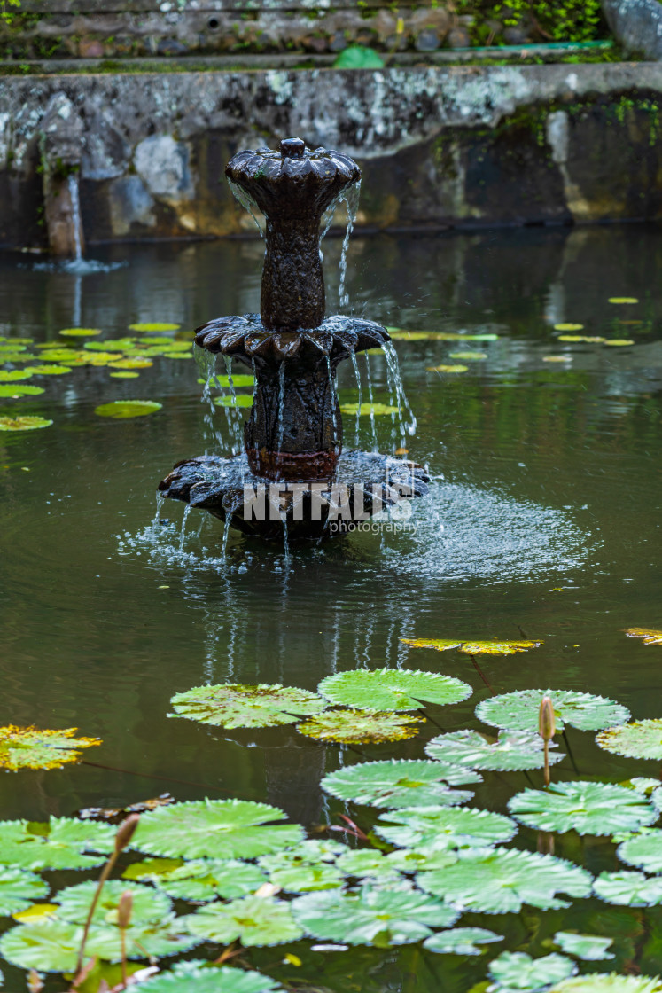 "Tirta Gangga palace in Bali" stock image