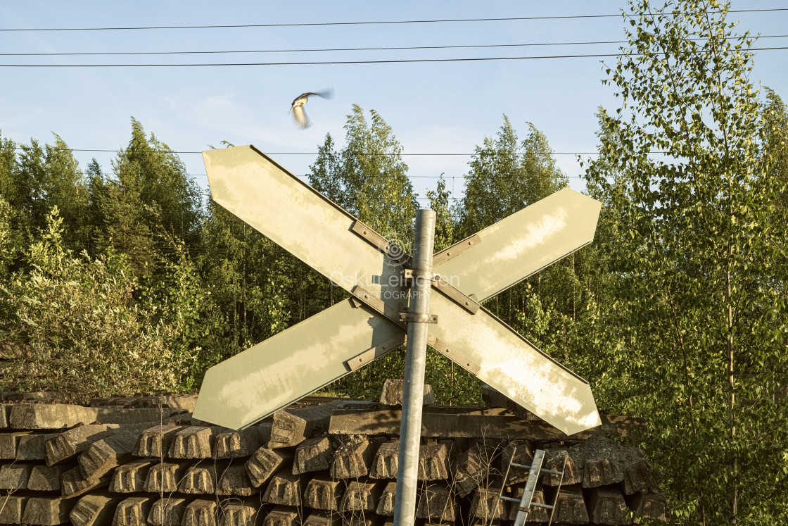 "Wagtail III" stock image