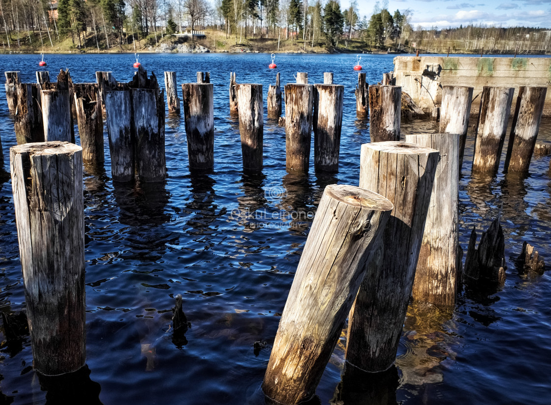 "Piles In Lake Näsi" stock image