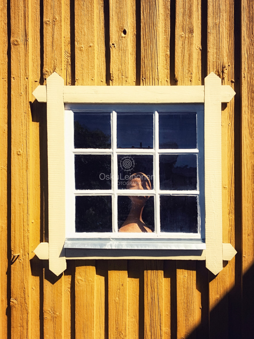 "Lady Of The House" stock image