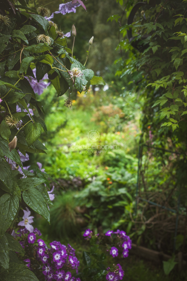 "Flower Gate" stock image