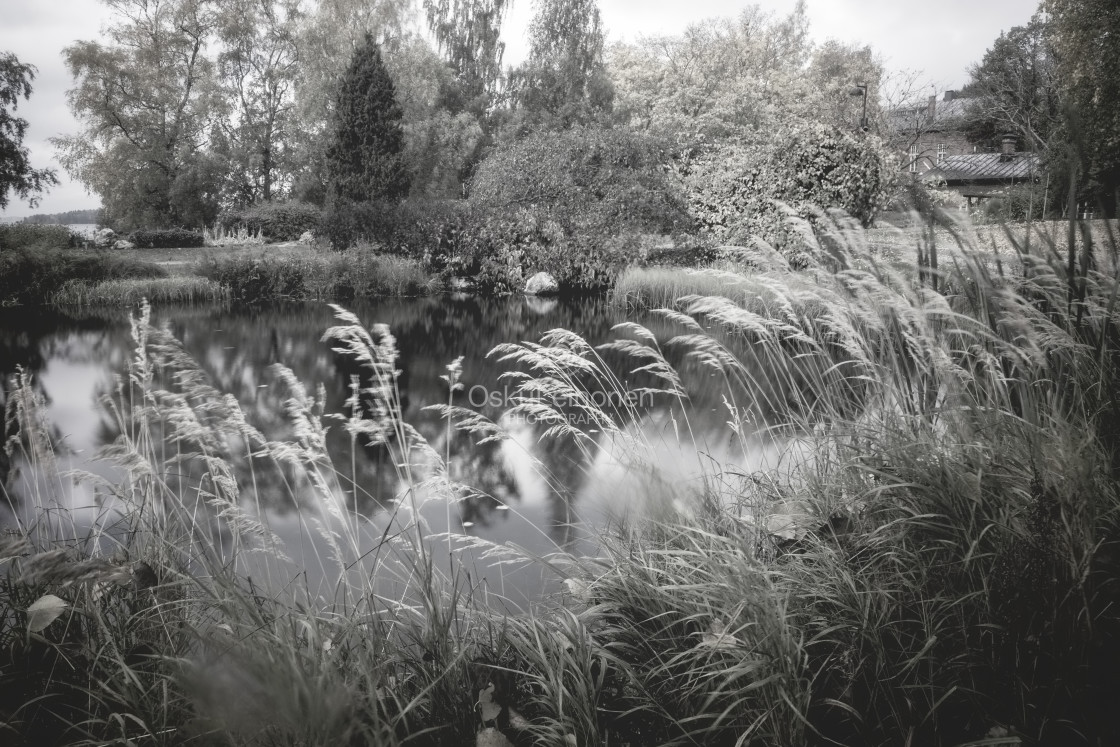 "Pond Black And White" stock image