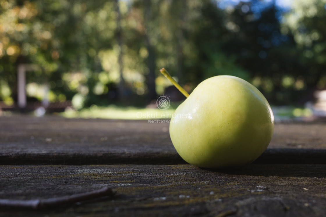 "Apple On The Table I" stock image