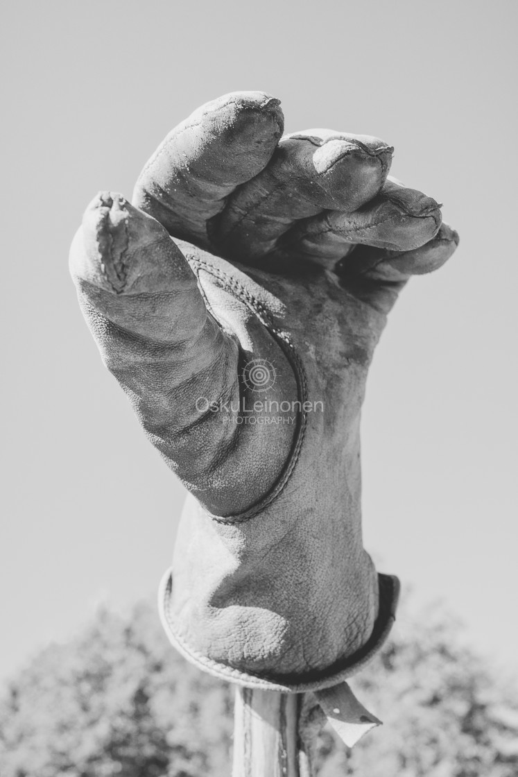 "Glove II" stock image