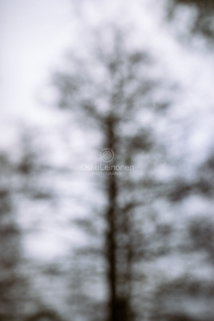 "Dreamy View IV (Tree)" stock image