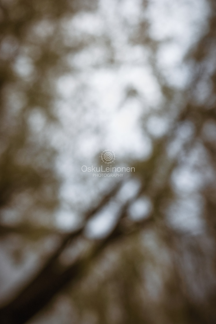 "Dreamy View III (Tree)" stock image