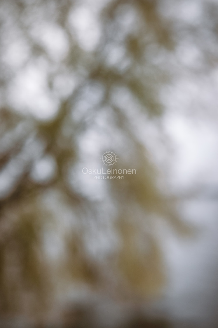 "Dreamy View I (Tree)" stock image