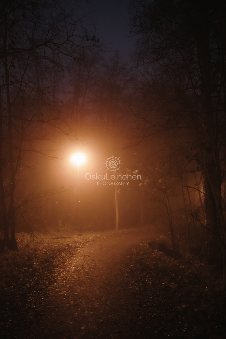 "Night Walk At Pispala XIII (Path)" stock image