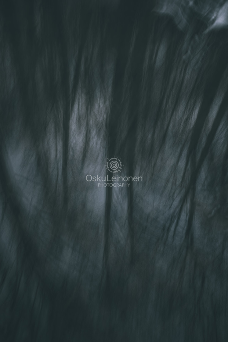 "Trees And Twigs III" stock image