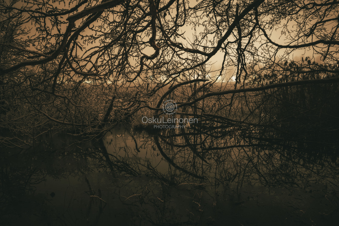 "Five Elements VI (Silhouette)" by Osku Leinonen Photography - $18.86 "Five Elements VI (Silhouette)" stock image