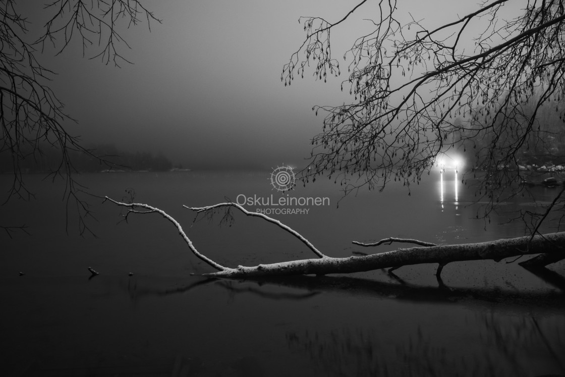"Fire Element I (Fallen Tree)" by Osku Leinonen Photography - $19.05 "Fire Element I (Fallen Tree)" stock image